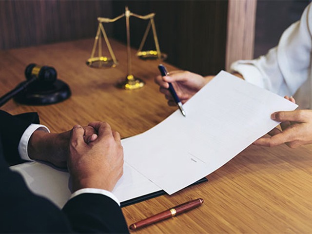 Suporte e consultoria - Plataforma do Vereador
